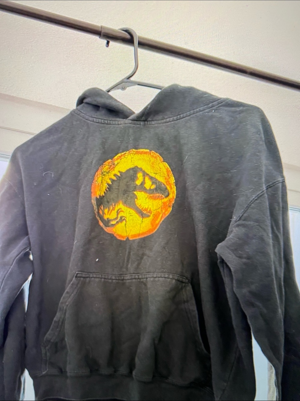 Black Hoodie with Orange Dinosaur Graphic -